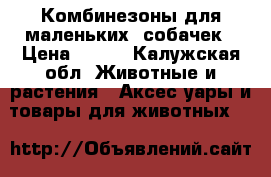 Комбинезоны для маленьких  собачек › Цена ­ 500 - Калужская обл. Животные и растения » Аксесcуары и товары для животных   